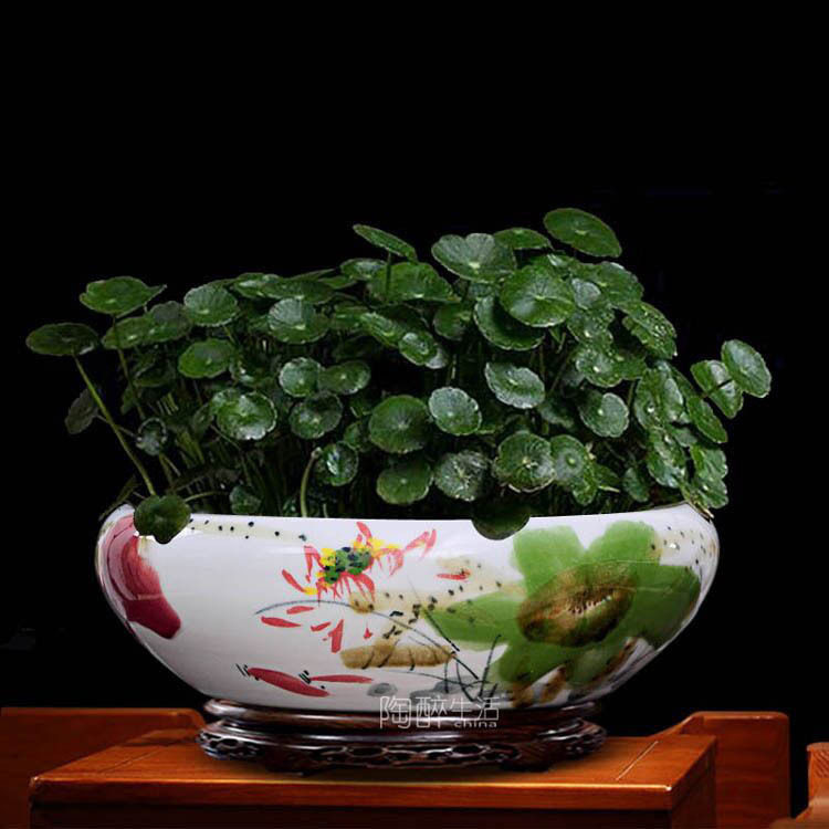 水养植物无孔高端陶瓷花盆个性碗莲绿萝水仙花铜钱草器皿包邮