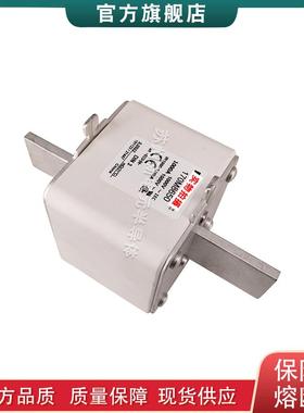 170M6867 6868 6869 6870 6891 8645 8646 8650 巴斯曼快速熔断器