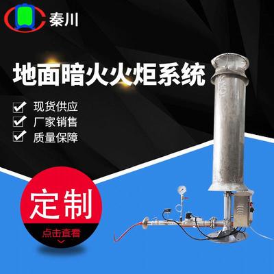 地面暗火沼气火炬垃圾填埋场专用沼气燃烧器自动点火