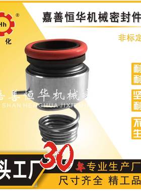 ROTEN系列机械密封轴封水封水泵化工密封反应釜集装式印染用sicc