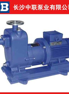 直销ZW250-420-20型自吸无堵塞排污泵