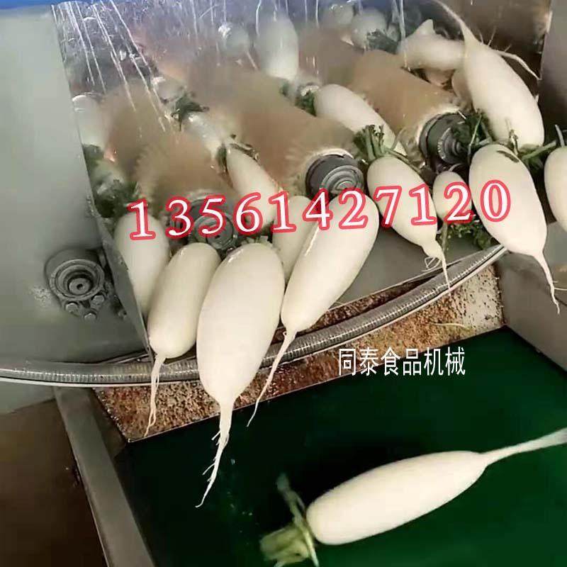 新式多功能连续萝卜清洗机毛刷辊洗白萝卜机器电动洗土豆毛刷机