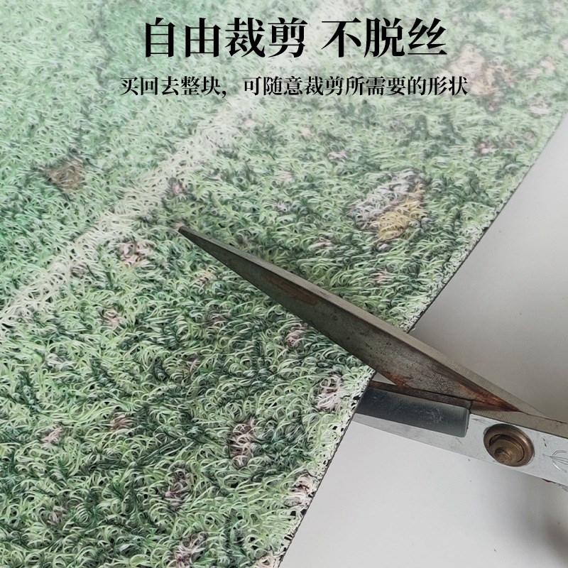 入户门地垫pvc免洗踩脚垫蹭土玄关地毯进门门口丝圈可裁剪门垫子