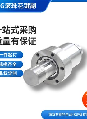 中扭矩LBST LBF 20 25 30 40 50 70 85 100精密滚珠花键轴 短交期