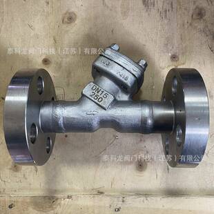 GL41H-250R不锈钢F316高压Y型过滤器DN152025324050