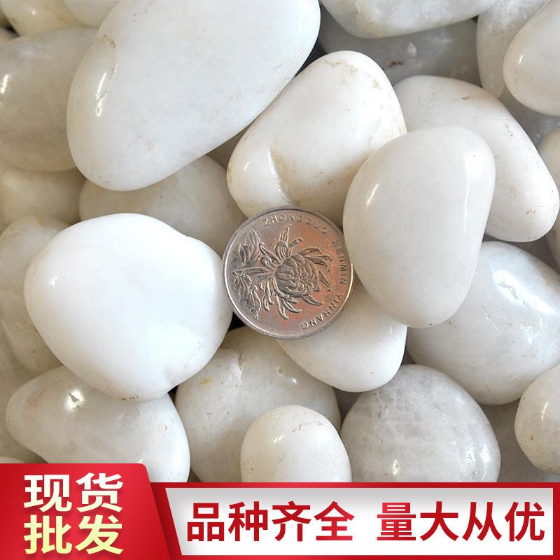白色抛光鹅卵石天然装饰雨花石园林家装工程雨花石子南京沙石