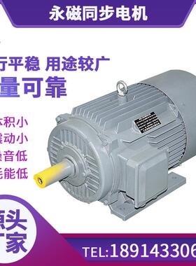 三相永磁同步电机YT防爆永磁电机22kw同步电机TYBZ永磁电机