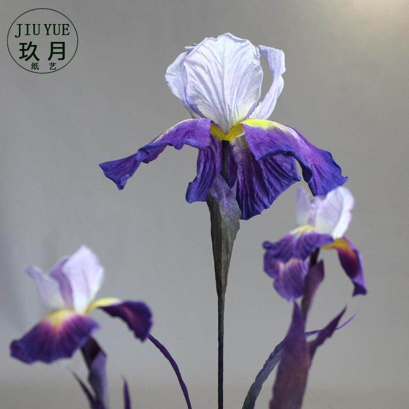玖月纸艺大型婚庆纸花橱窗装饰舞台布置成品立杆手工花路引鸢尾花,农用物资,其他肥料,淘宝优惠券,粉丝福利购,淘宝优惠卷