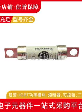 FWX-35AFWX-40AFWX-45A/50AFWX-60A/70A/80A快速熔断器保险丝