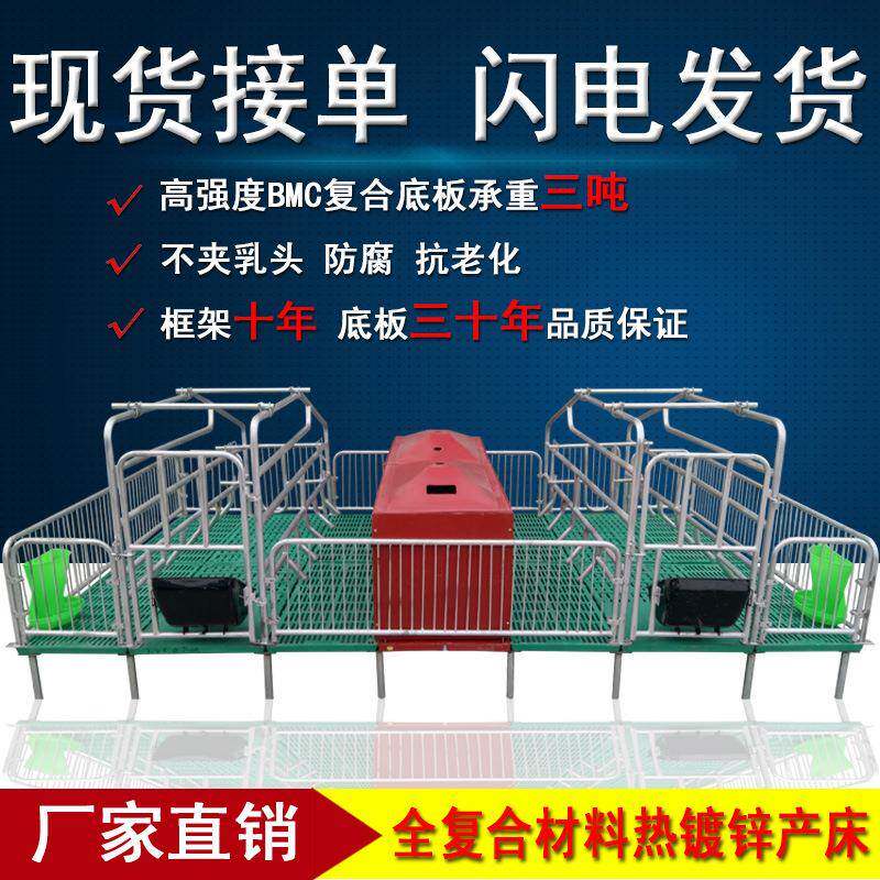 母猪产床猪产床包邮母猪限位栏定位栏母猪产床保育两用床养殖设备