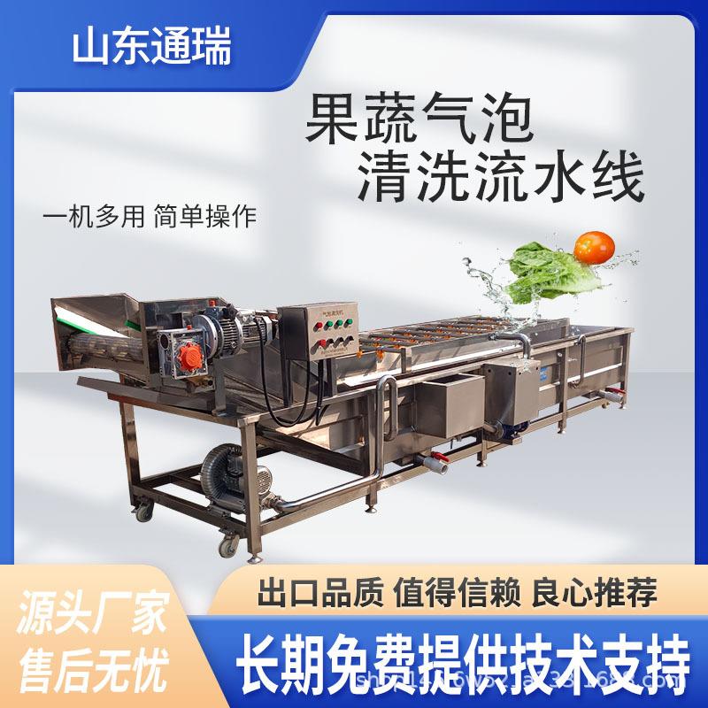净菜清洗蒸煮漂烫设备婆婆丁气泡清洗机海鲜小龙虾清洗机