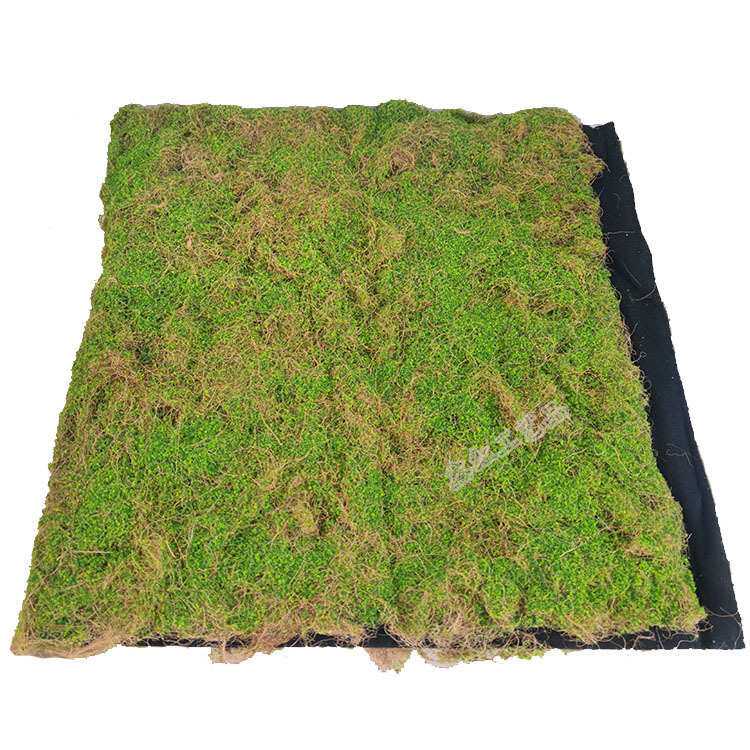 仿真干枯草枯丝苔藓草皮人造青苔草坪绿植墙打底装饰橱窗相框摆放