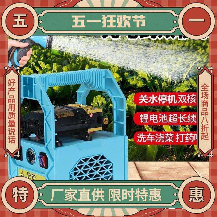 小型抽水泵款电动农用灌溉菜园充电抽水机浇树户外锂电浇水机