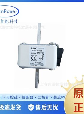 低压熔断器 170M6688 170M6738 170M6698 170M6739现货