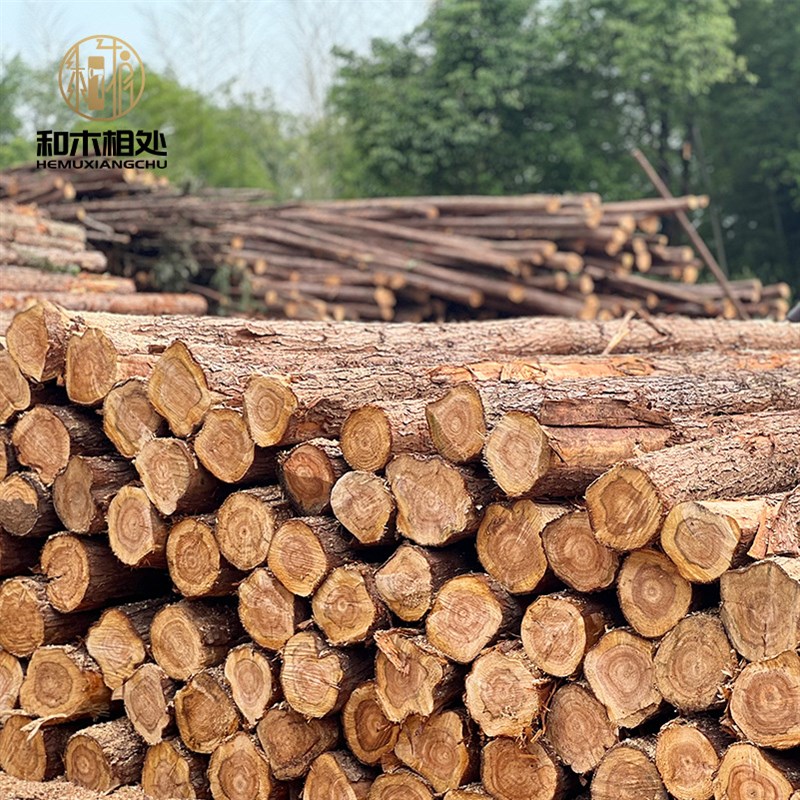 户外杉木打桩绿化实木支撑杆建筑打地基带原木圆木桩松木桩杉木桩