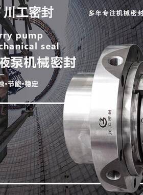 负压化成泵机械密封SLZC150-630TJSLZC200-760ASLZC200-760BTJ