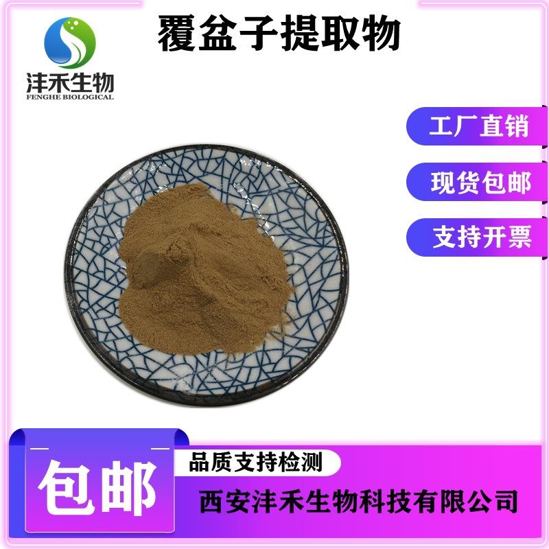 覆盆子提取物10:1覆盆子黄酮覆盆子酮覆盆子粉现货包邮