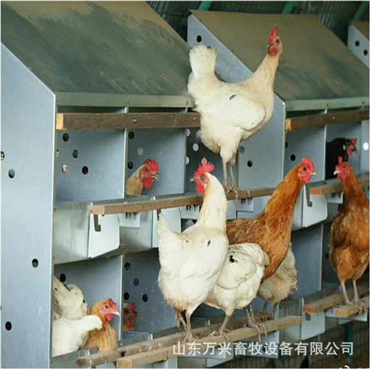厂家供应12穴产蛋箱散养12窝种鸡鸡蛋窝