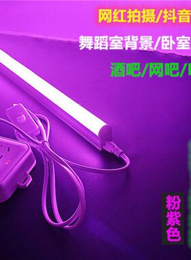 led长条灯彩色t5t8一体网红氛围灯红绿粉冰蓝紫拍摄直播间日光灯