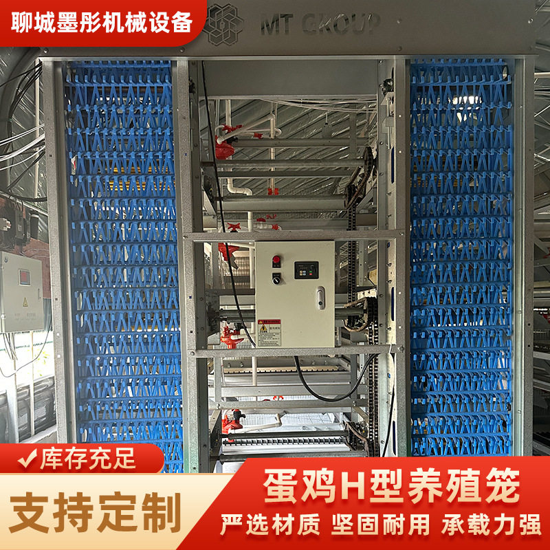 自动化养鸡设备三层四层H型肉鸡笼蛋鸡笼层叠式养鸡设备鹌鹑笼