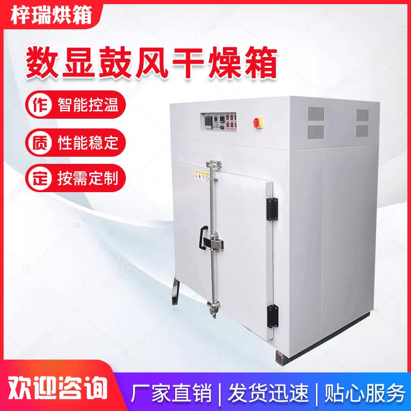 江苏供应工业大型高温烤箱智能电热恒温干燥箱小型工业鼓风烘箱