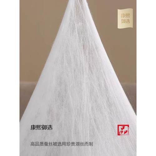 蚕丝通201被100桑蚕丝被子母芯被二合双一拉链款春秋被人冬被四季