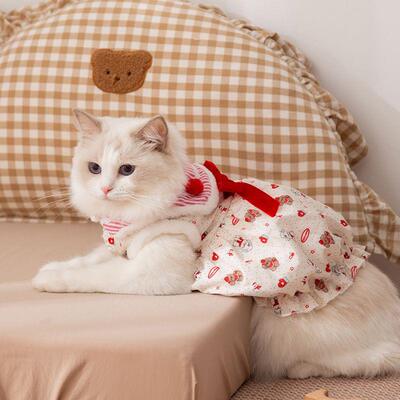 幼秋季冬猫咪衣服加绒加厚布偶英泰短蓝猫猫南瓜裙子迪比HBB熊小