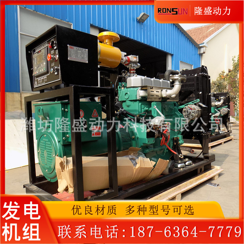 昭通小型应急发电机组沼气