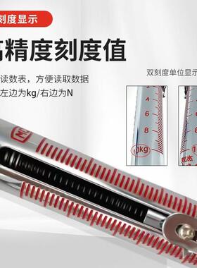 双杰LTZ型测力计拉力计LTZLDF-1管0力100N200N弹簧拉测棒牛顿力棒