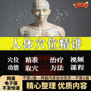 中医经络穴位精讲250个穴位精讲+针灸取穴纲要课程素材资料大全