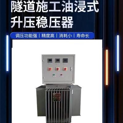 油浸式感应稳压器TNSJA1000KVA380V升流器隧道工地远距离输升压器