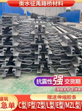 桥梁伸缩缝公路C40F60D80型160240异型钢梳齿板式伸缩缝装置