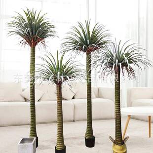 仿真龙葵树热带雨林假植物室外园林造景装饰龙血树千年木绿植