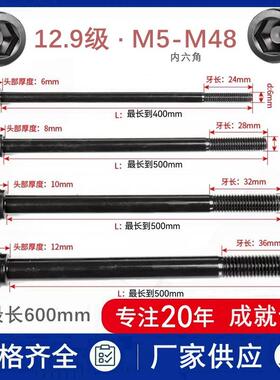 12.9级DIN912高强度加长内六角螺丝杆M10m24x200*300圆柱杯头螺栓