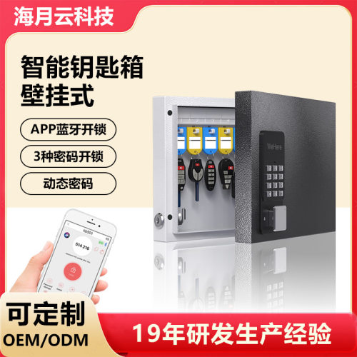 智能钥匙箱壁挂式钥匙柜带锁收纳盒汽车物业中介公司动态密码管箱