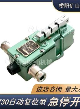 GEJ30急停开关自动复位装置猴车限位保护矿用配件桥阳矿山机械