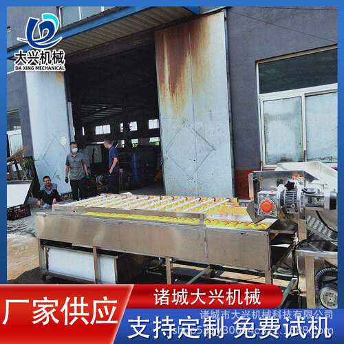 毛辊喷淋清洗机滚动式根茎类去泥清洗机瓜果压喷淋清洗设备