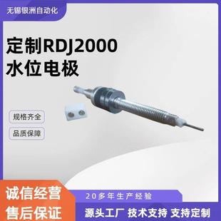 不锈钢电接点水位电极RDJ2000定制电极锅炉水位测量