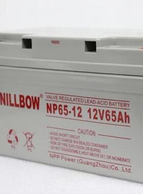 TXP蓄电池12v200ah太阳能NPG12-200房车数据机房电池