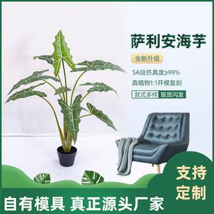 仿真植物萨利安海芋办公室易打理仿真绿植装饰盆栽萨利安海芋