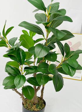 仿真植物豆瓣叶室内装饰落地摆件家居装饰假叶子绿植墙盆景