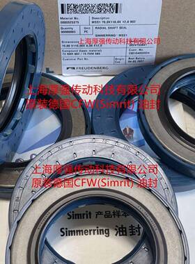 德国CFW油封MSS-1BAU4SLX270-110-12&B1F0FDRSSF70-104-10/14.5