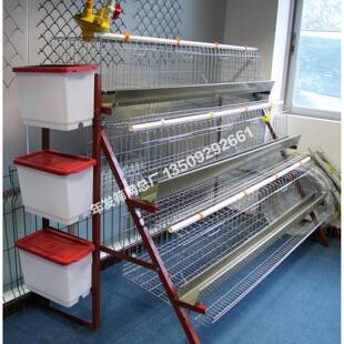 广州铁丝网供应出口蛋鸡笼子镀锌网片鸡笼色泽光亮耐腐蚀