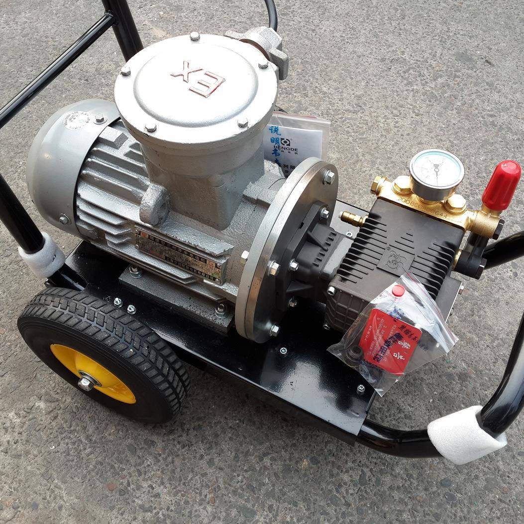 上海熊猫PE160型工业防爆式清洗机高压冲洗泵水枪头高危清洁设备