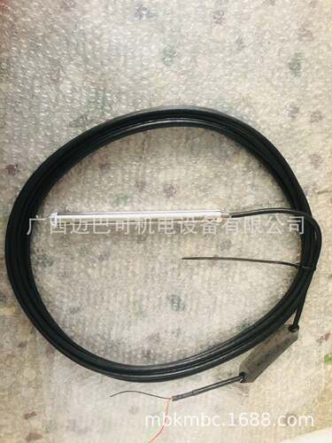 E+H投入式液位计FMX21-19E2/0