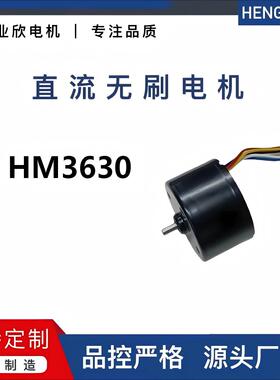 FTE厂家直供36mm微型H刷机M3630大扭矩高性能低噪大功率直流无马