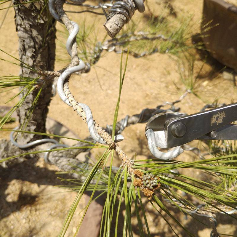 供应园工ANC具园艺多功能枝剪盆修景铁丝剪锈刀不钢铝线林断丝钳