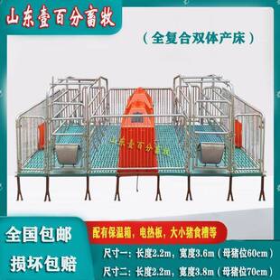 母猪产床全套一整套产保一体双体猪产床产保两用母猪定位栏保育床