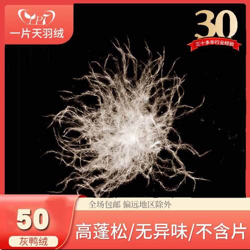 老标水洗50灰鸭绒可加工鸭绒被供应