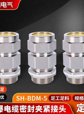铠装填料函防爆格兰头SH-BDM-5防爆电缆密封夹紧接头金属葛兰
